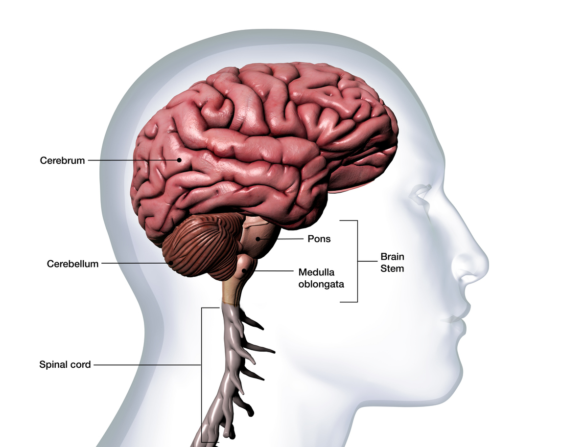 chiari-malformation-neurosurgery-of-st-louis-stl-brain-spine-doctors