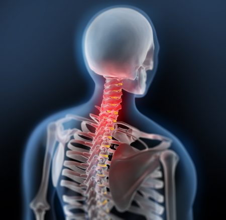 Human male spine - 3D illustration