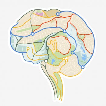 craniotomy-st-louis-doctor